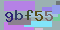 Recopiez le code suivant