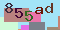 Recopiez le code suivant