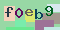 Recopiez le code suivant