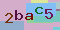 Recopiez le code suivant