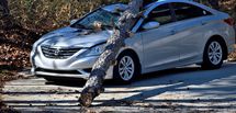 Franchise assurance auto : faut-il déclarer tous les sinistres ? 