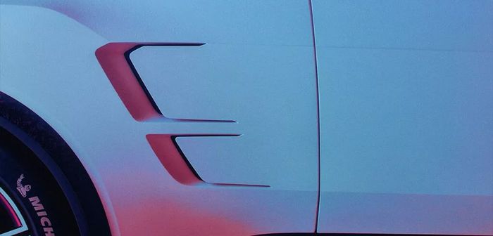  l'A290_β et son flan