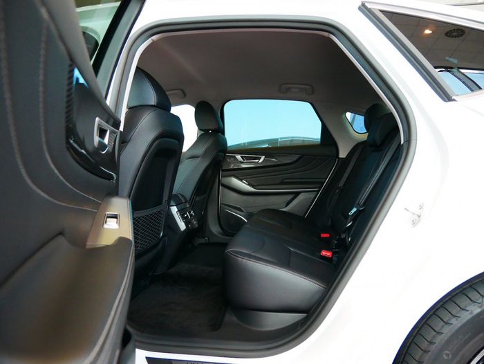 la banquette arrière de la Mobilize Limo avec un rayon au genou de 288 mm